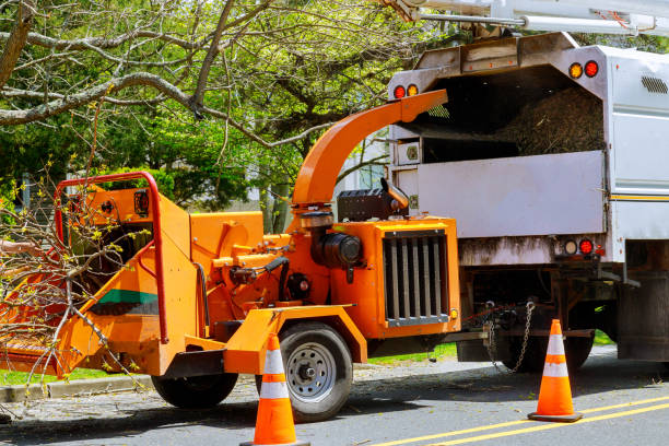 Landscape Design and Installation in Pemberton Heights, NJ